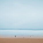 Horizon dissous