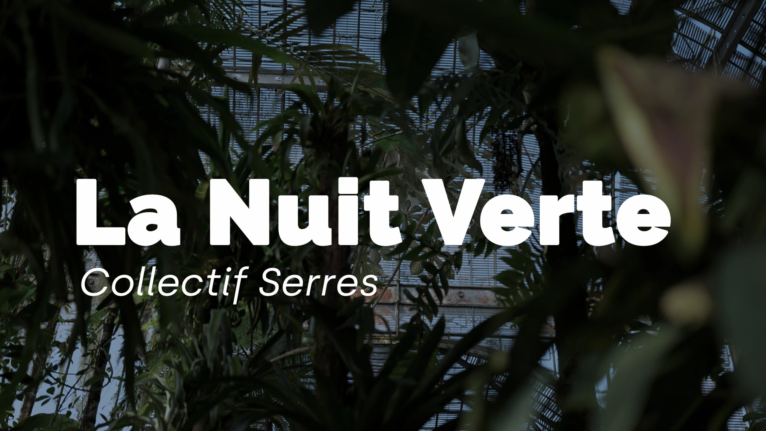La Nuit Verte